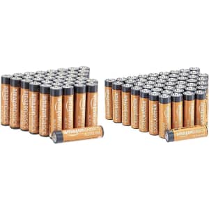 Amazon Basics Alkaline Battery Combo Pack for $21