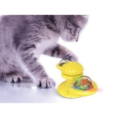 StackSocial Pet Deals: Up to 80% off