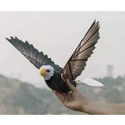 Go Go Bird RC Drone for $160