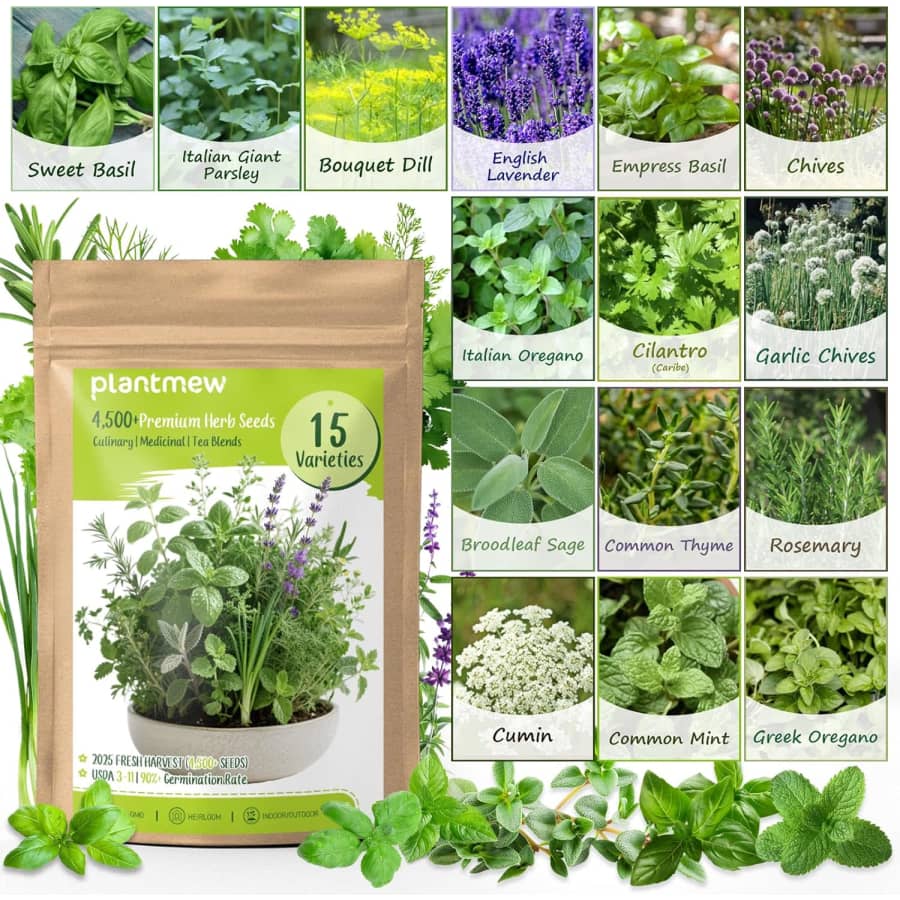 Herb Seeds 15-Pack with 4,500+ Non-GMO Seeds: $9.95