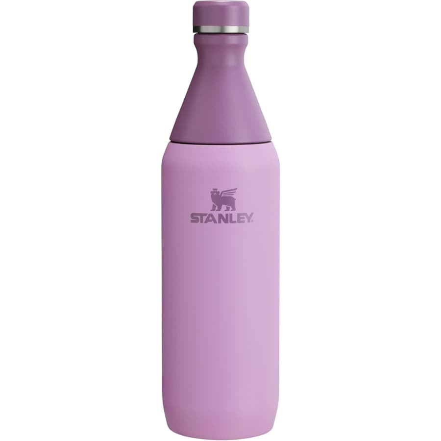 Stanley All-Day Slim 20-oz. Water Bottle: $20