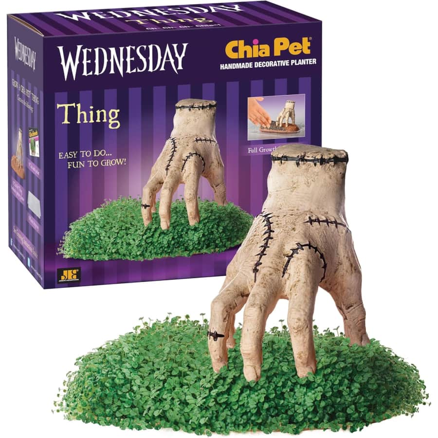Chia Pet Thing: $8