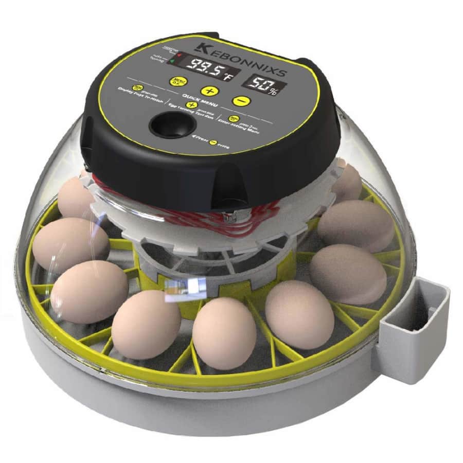 12-Egg Incubator: $70 12-Egg Incubator: $70