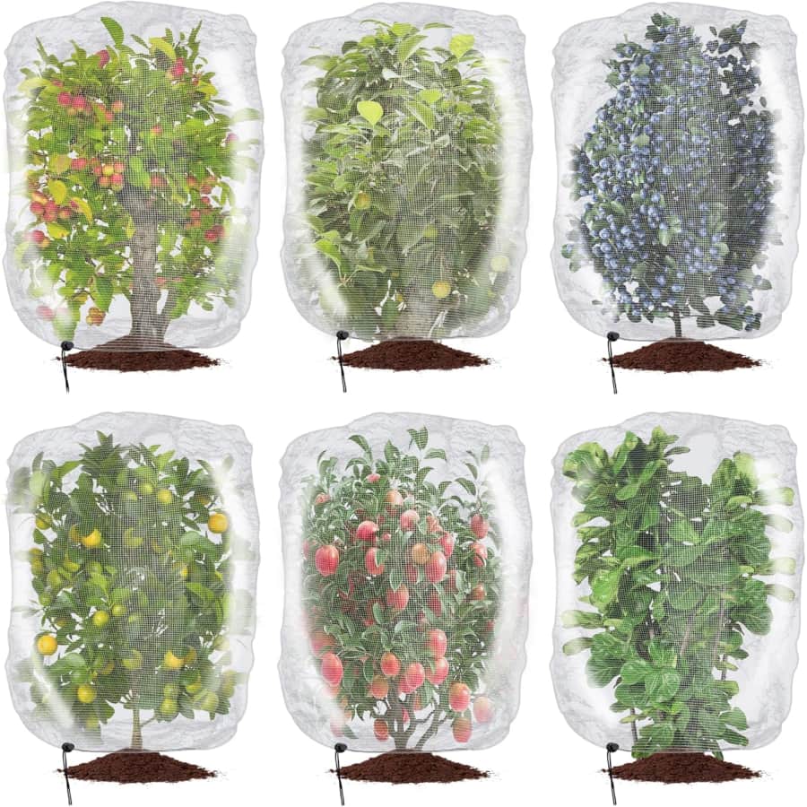 Insect Barrier Tree Net 6-Pack: $10 Insect Barrier Tree Net 6-Pack: $10