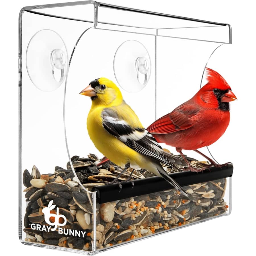 Suction-Cup Window Bird Feeder: $7.99