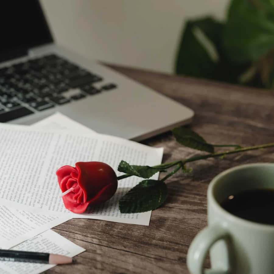 Nordstrom Black Friday Home Deals: Up to 81% off