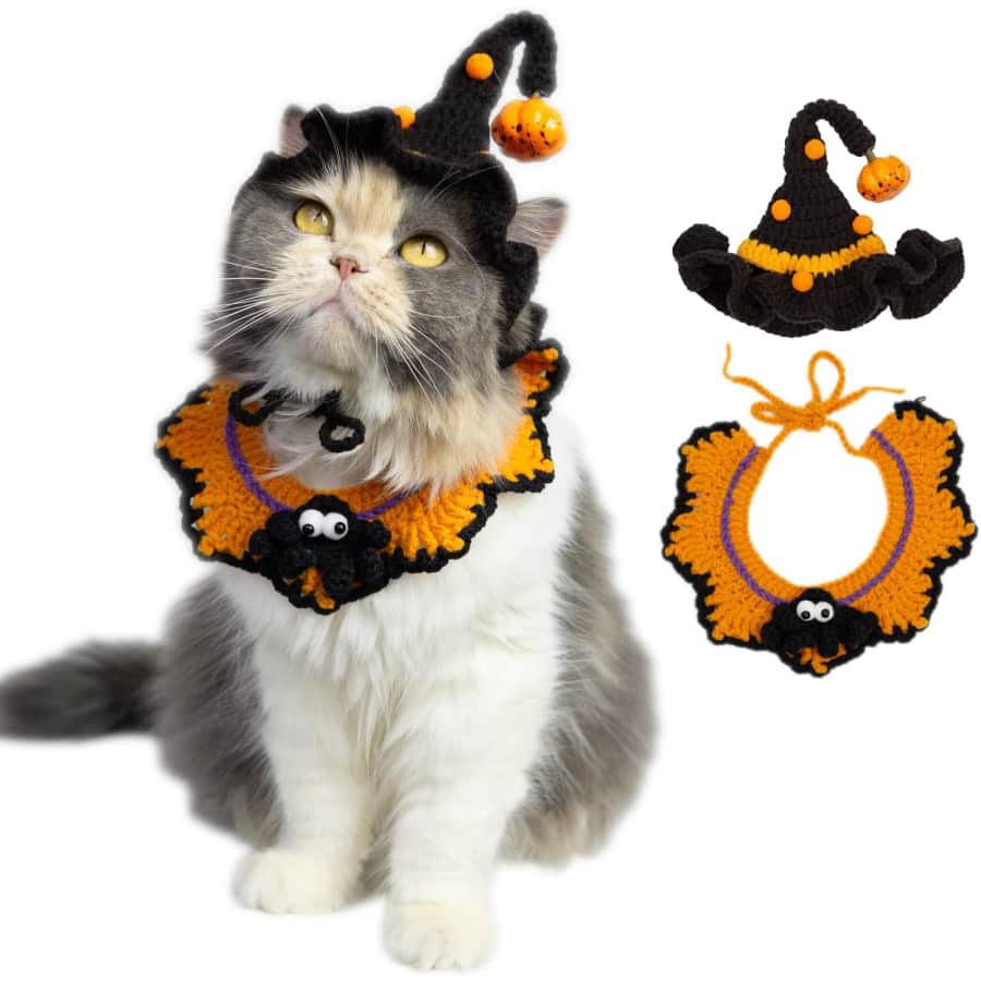 Spider Bib & Pumpkin Hat for Cats and Small Dogs: $7 Spider Bib & Pumpkin Hat for Cats and Small Dogs: $7