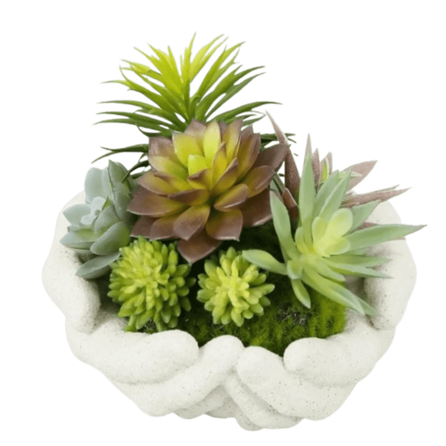 Mainstays 4" Succulent Arrangement in Ceramic Hands Pot: $4 Mainstays 4" Succulent Arrangement in Ceramic Hands Pot: $4
