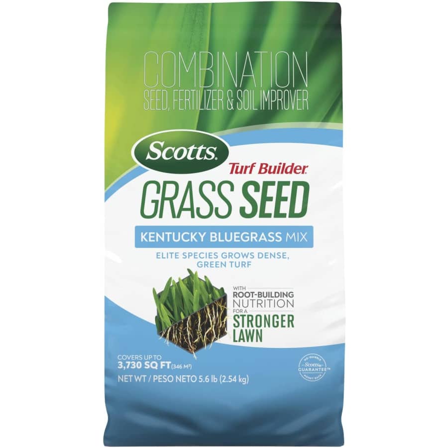 Scotts Turf Builder Grass Seed Kentucky Bluegrass Mix 5.6-lb. Bag: $39 Scotts Turf Builder Grass Seed Kentucky Bluegrass Mix 5.6-lb. Bag: $39