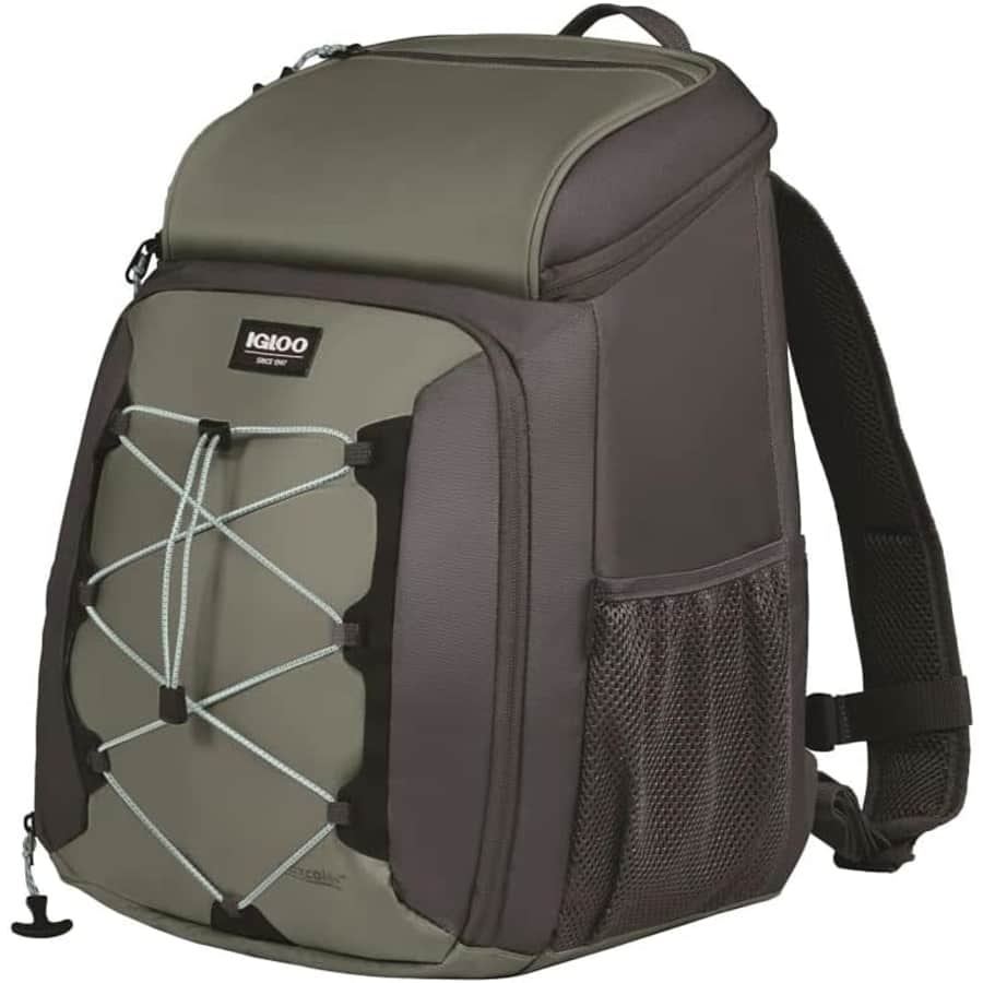 Igloo 30-Can Voyager Backpack Cooler: $35.99