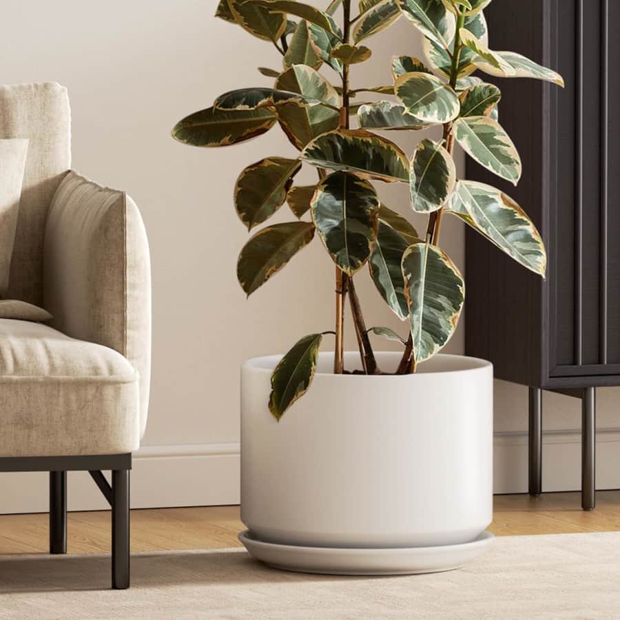 Planters and Pots Deals at Amazon: Up to 62% off