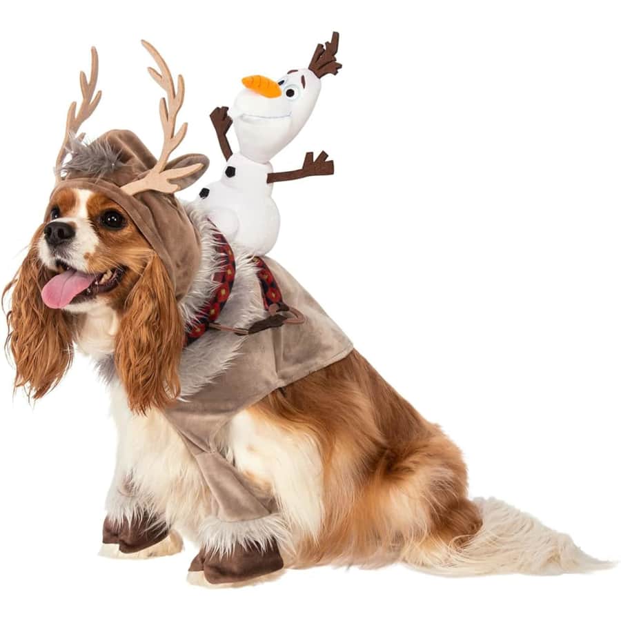 Disney Frozen: Sven Pet Costume: $24 Disney Frozen: Sven Pet Costume: $24