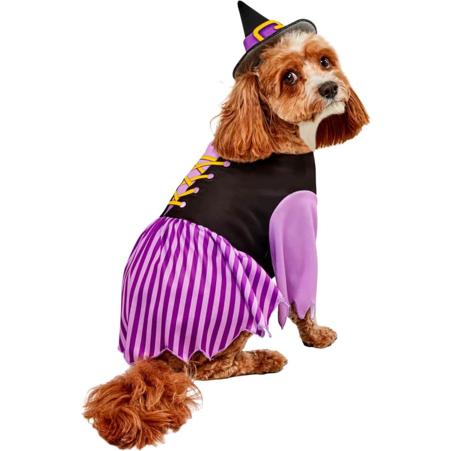 Rubie's Witch Pet Costume: From $11 Rubie's Witch Pet Costume: From $11