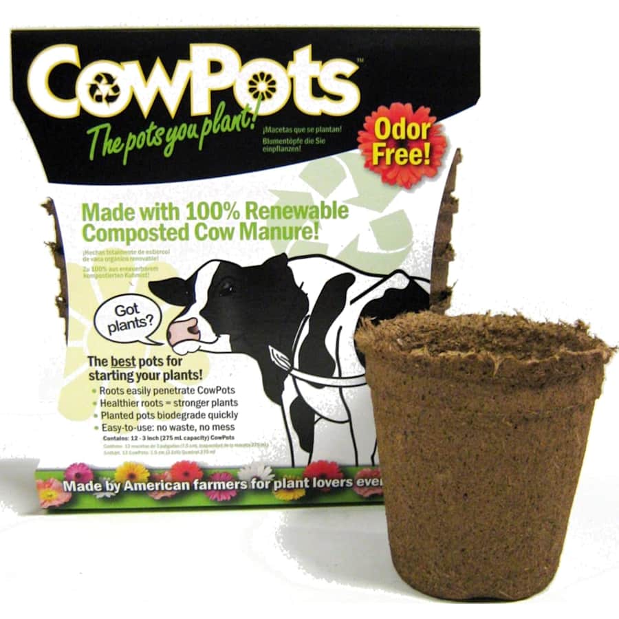 CowPots 3" Biodegradable Plant Pot: $3.40 w/ Prime