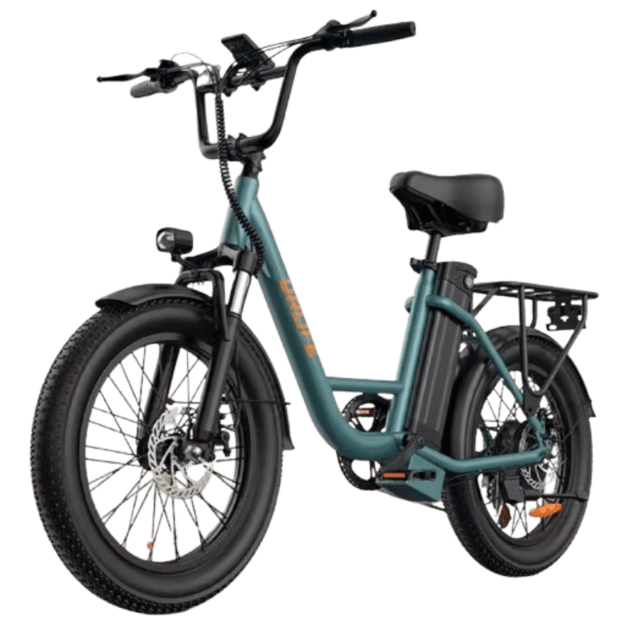 E20 1,000W eBike: $283