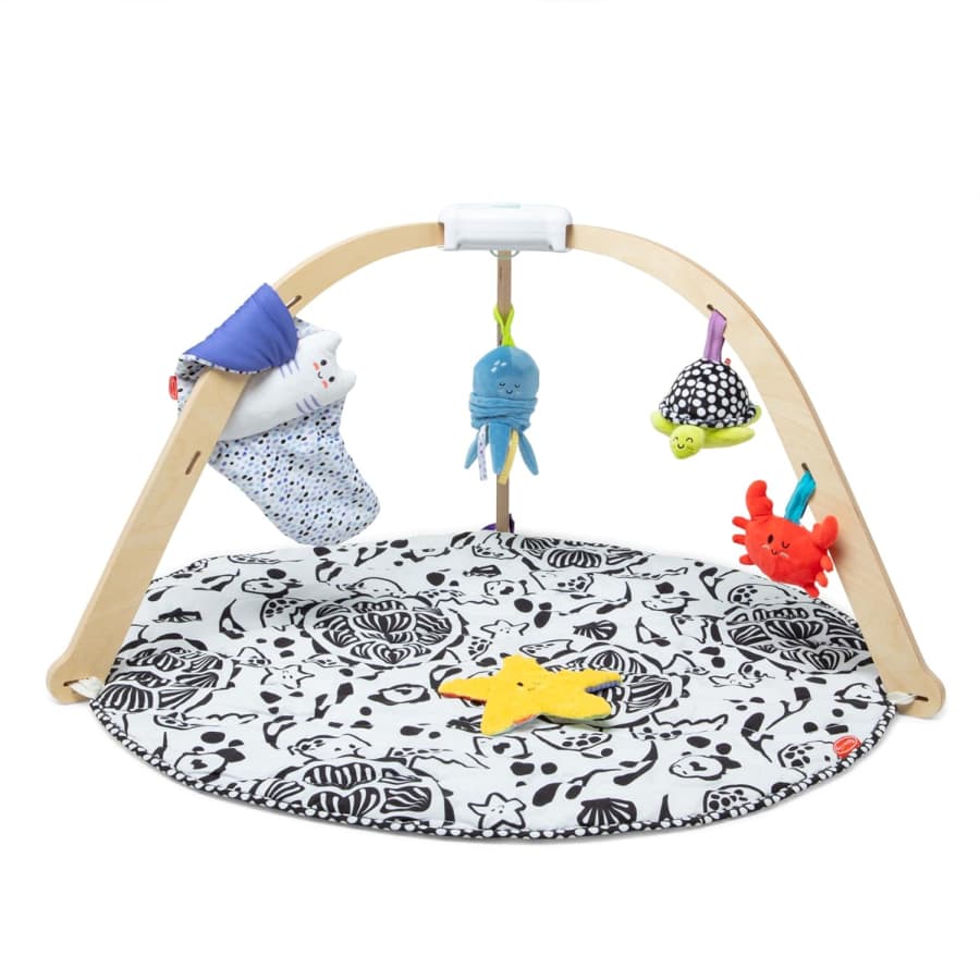 Melissa & Doug Ocean Easy-Fold Wooden Play Gym: $29.99