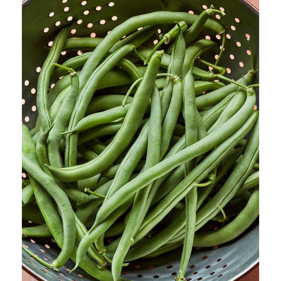 Burpee Blue Lake Bush Bean Seed 8-oz. Pack: $4.95