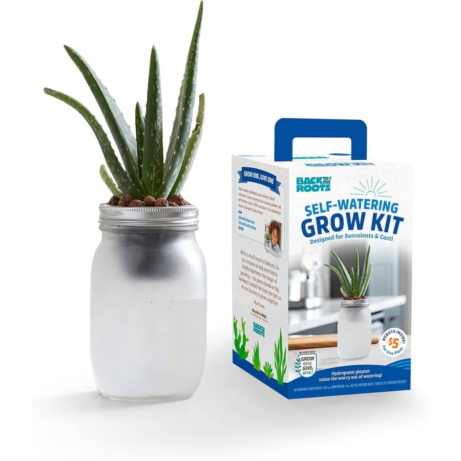 Back to the Roots Succulents and Cacti Self Watering Grow Kit: $9.09 w/ Prime Back to the Roots Succulents and Cacti Self Watering Grow Kit: $9.09 w/ Prime