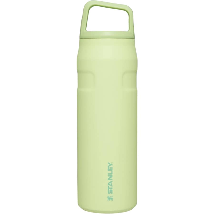 Stanley IceFlow Cap and Carry 24-oz. Water Bottle: $17