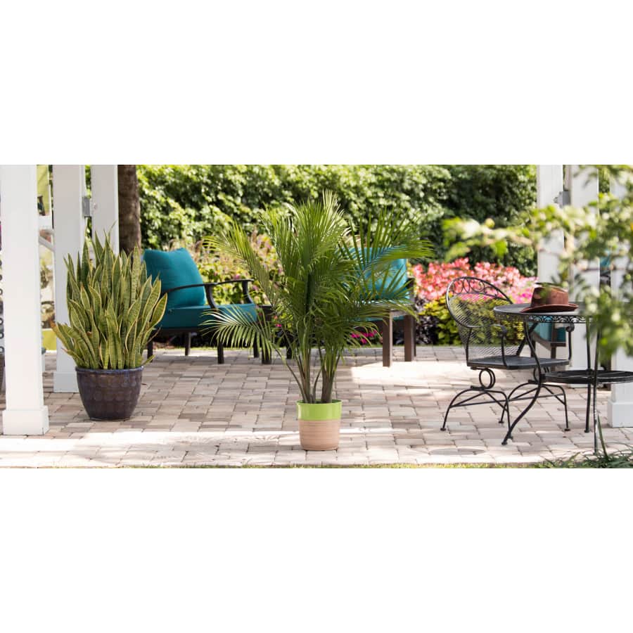 Lowe's Spring Savings Event Lawn & Garden Clearance: Up to 50% off