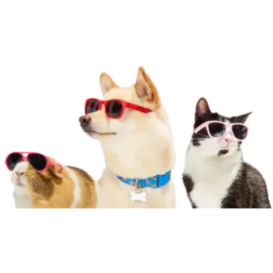 Petco Clearance and Halloween Sales: Up to 67% off Petco Clearance and Halloween Sales: Up to 67% off