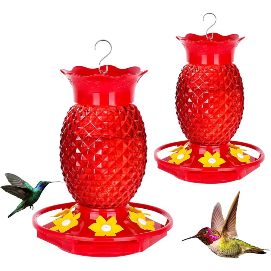 Glass Hummingbird Feeder 2-Pack: $16