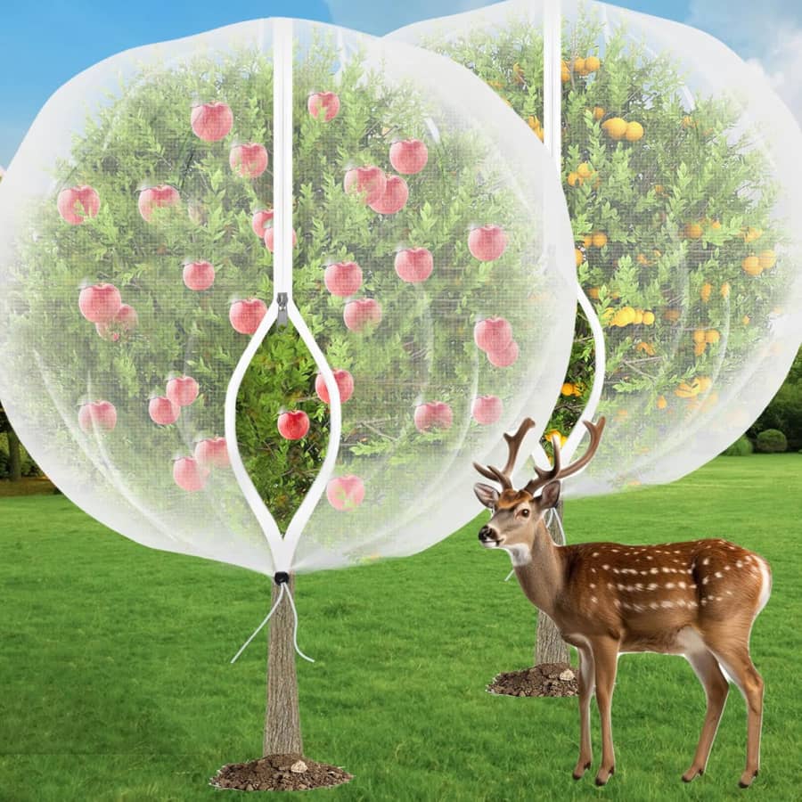 Fruit Tree Netting for Cicadas 2-Pack: $14