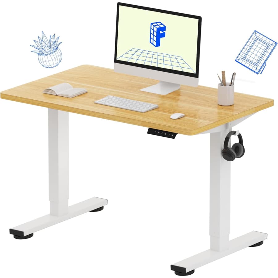 Flexispot 48" x 24" Electric Standing Desk: $90