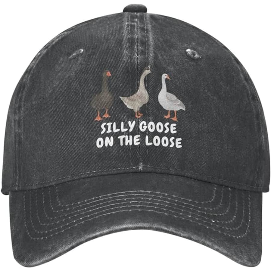 Men's Silly Goose On The Loose Cap: $7.97 w/ Prime