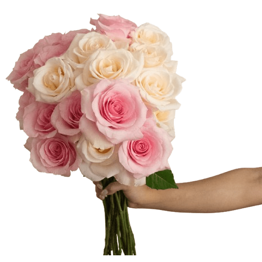 24 Farmer's Color Choice Long-Stem Roses: $20 24 Farmer's Color Choice Long-Stem Roses: $20