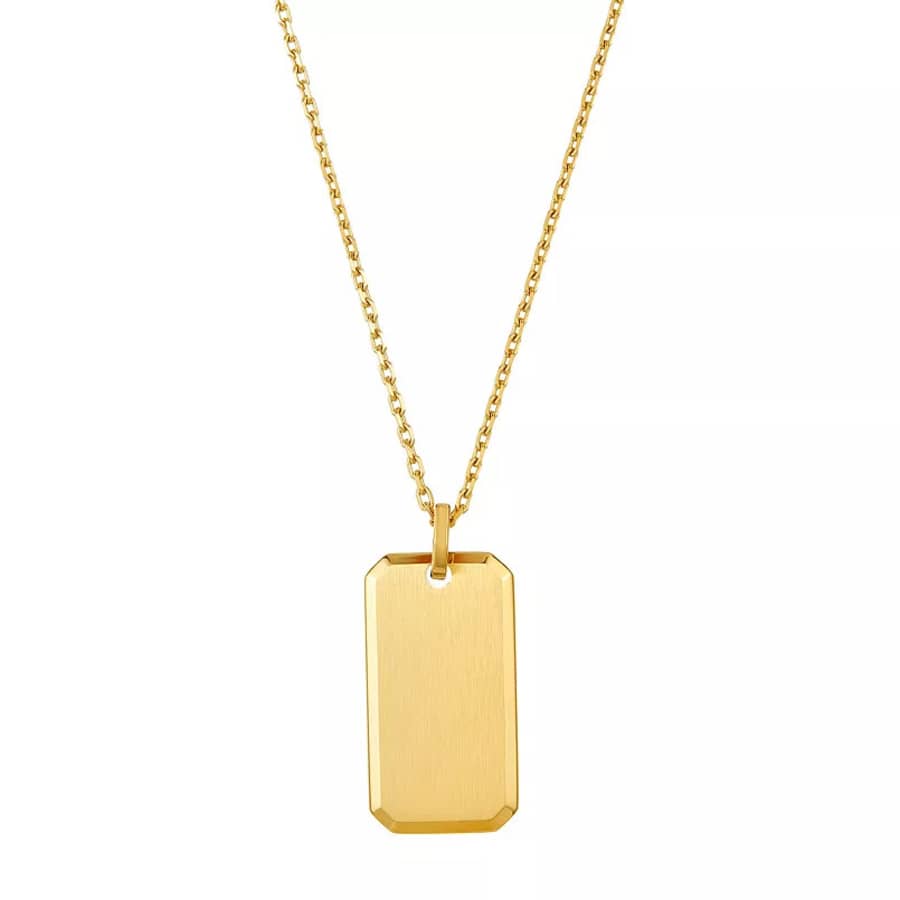 Adornia 14k Gold Plated Dog Tag Necklace: $9.45 Adornia 14k Gold Plated Dog Tag Necklace: $9.45