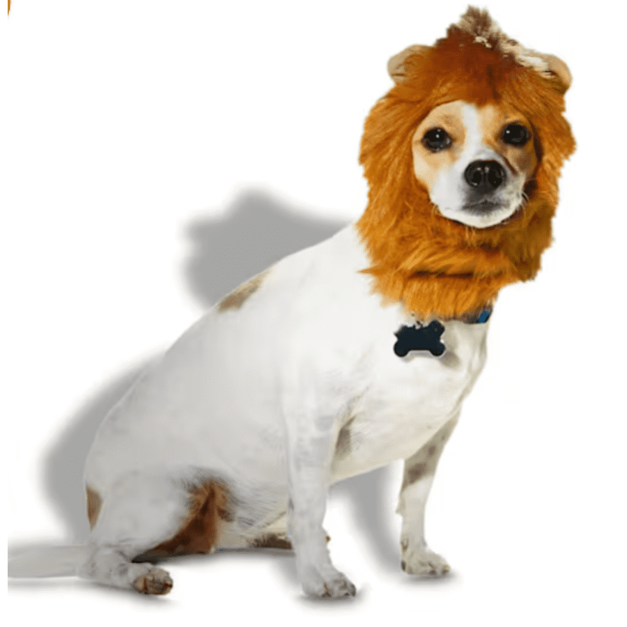Halloween Pet Costumes at Petco: 50% off Halloween Pet Costumes at Petco: 50% off
