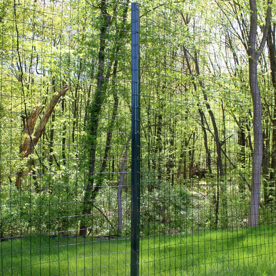 Garden Craft 50-ft. x 6-ft. PVC Coated Steel Welded Wire Rolled Fencing: $82 Garden Craft 50-ft. x 6-ft. PVC Coated Steel Welded Wire Rolled Fencing: $82