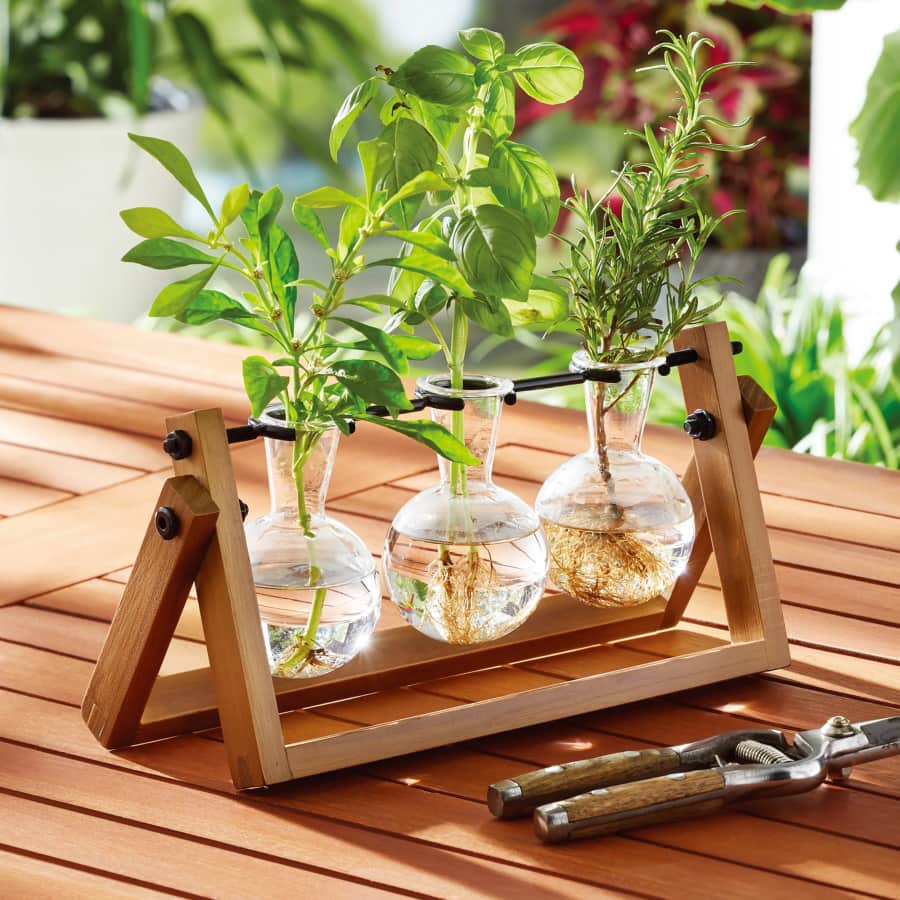 BH&G Propagation Station Set: $9.87