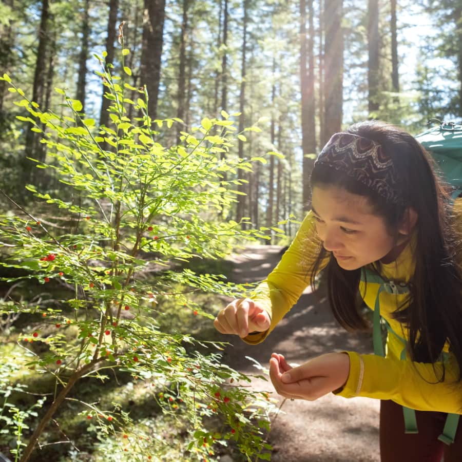 Falling Fruit Edible Maps: Forage food for free Falling Fruit Edible Maps: Forage food for free