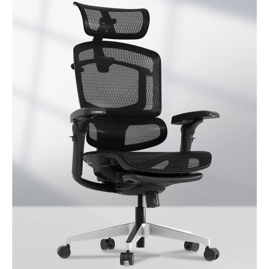 Flexispot ErgoX-PRO Ergonomic Office Chair: $479.99