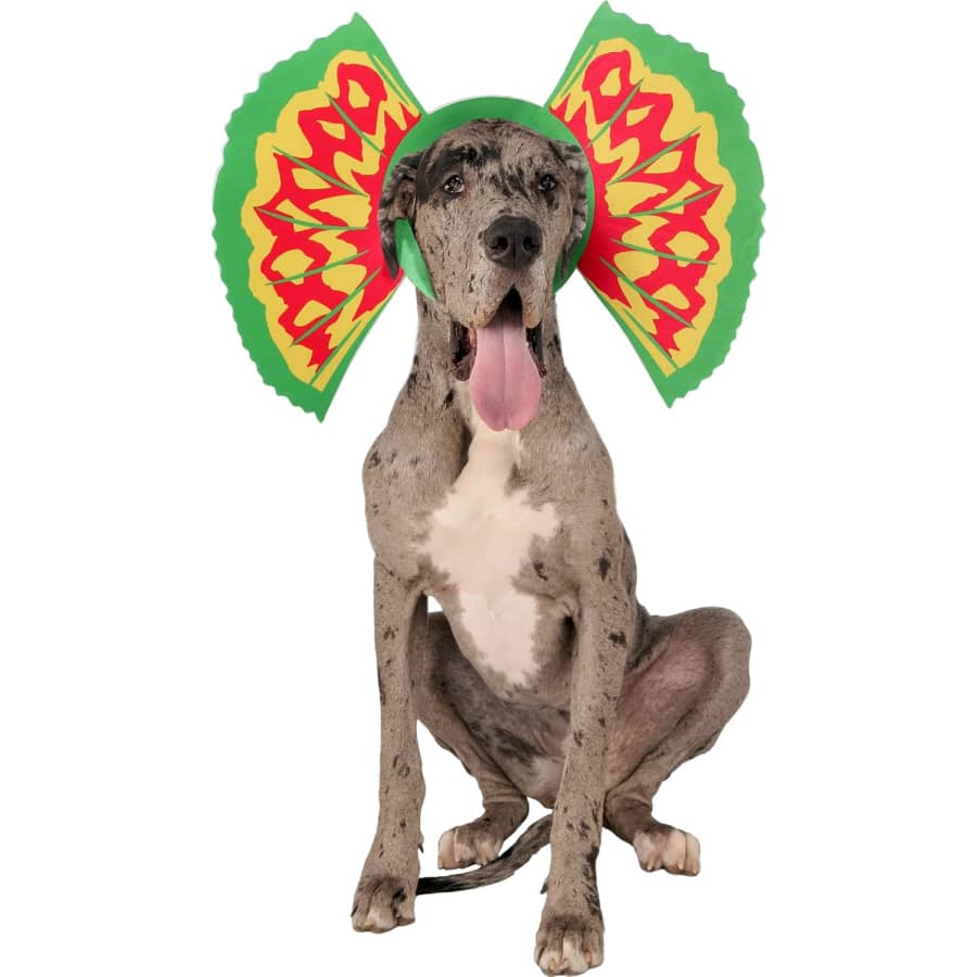 Amazon Outlet Pet Supplies Clearance: Up to 70% off