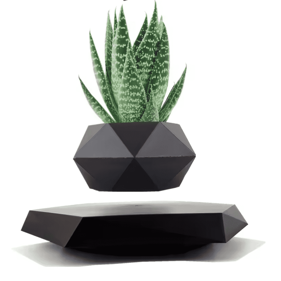 Floating Magnetic Plant Pot: $26