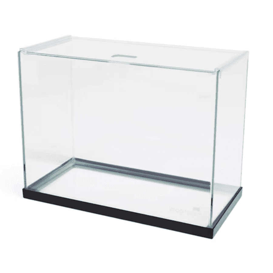 Imagitarium Open Glass Aquarium Tanks at Petco: 50% off Imagitarium Open Glass Aquarium Tanks at Petco: 50% off