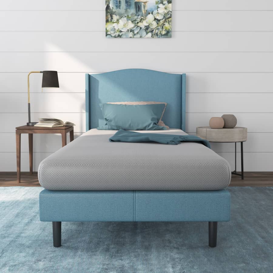 NapQueen Rainbow 5" Twin Memory Foam Mattress: $66.98