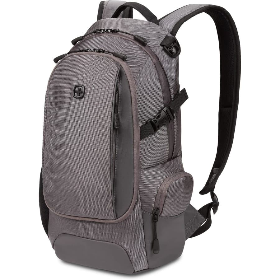 SwissGear Narrow Backpack: $30
