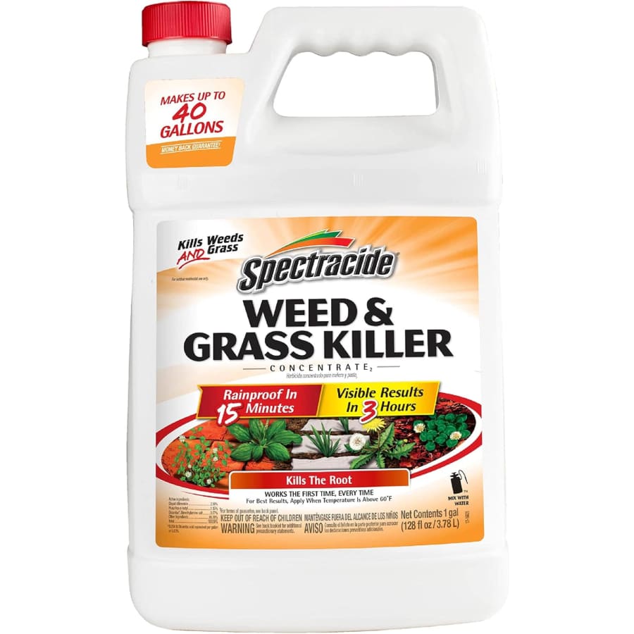 Spectracide Weed And Grass Killer Concentrate 1-Gallon: $34 Spectracide Weed And Grass Killer Concentrate 1-Gallon: $34