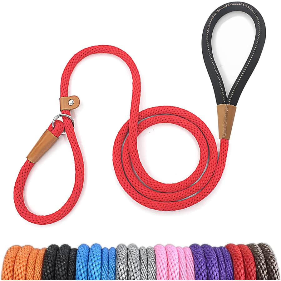 5-Foot Dog Leash 2-Pack: $7.49