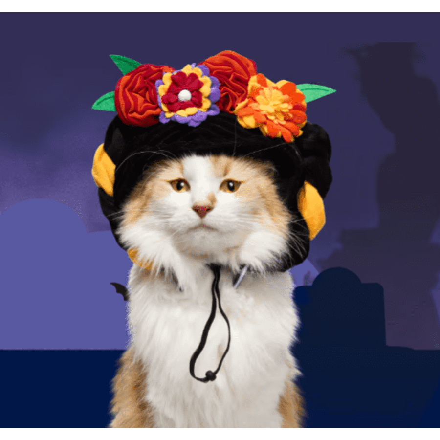 Pet Halloween Costumes at Petco: From $6