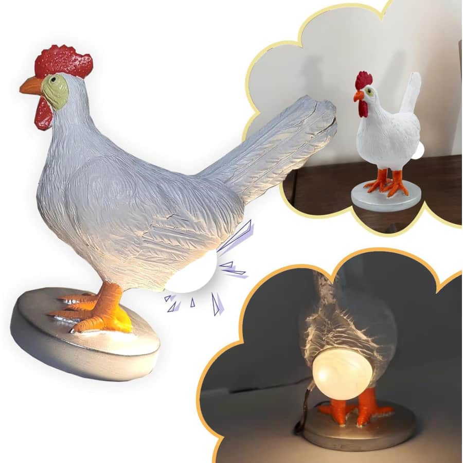 Chicken Egg Lamp: $9.99