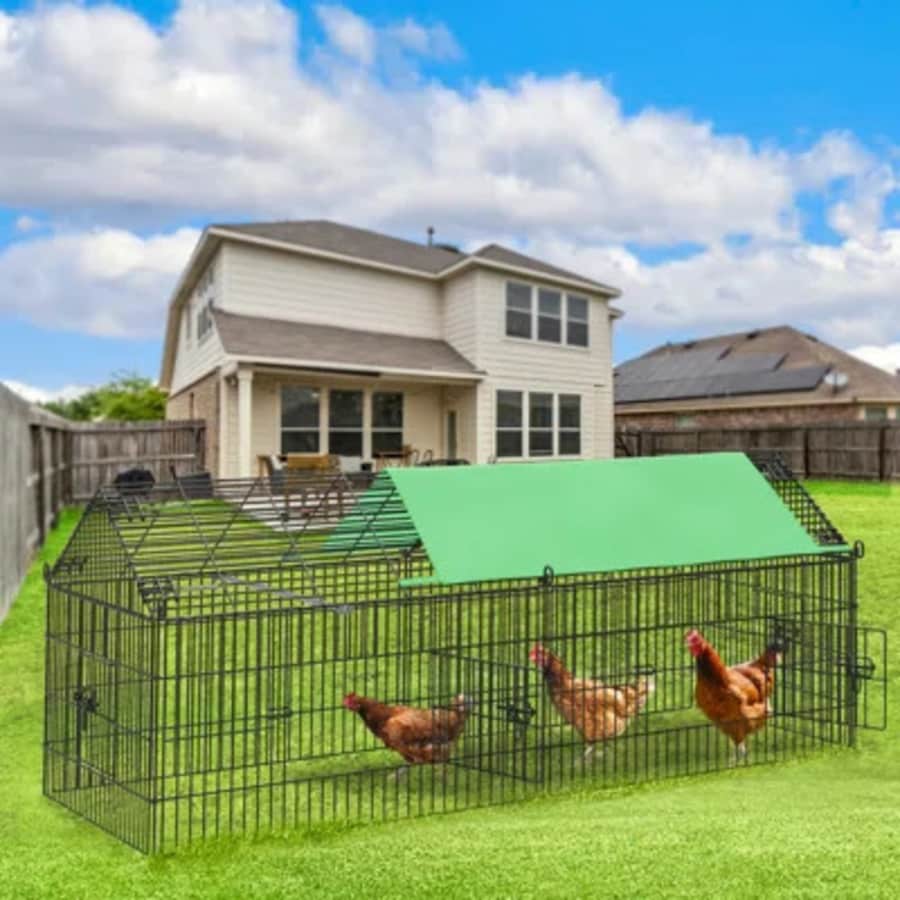 Chicken Coop Deals at Wayfair: from $21