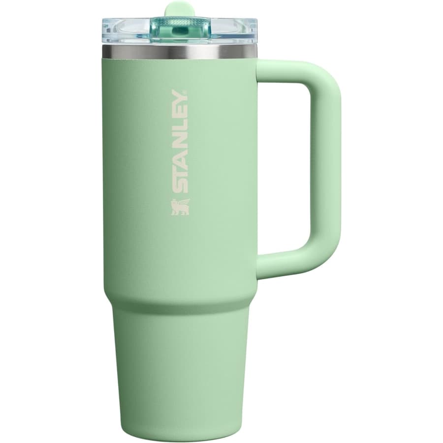 Stanley Quencher ProTour 30-oz. Flip Straw Tumbler: $20