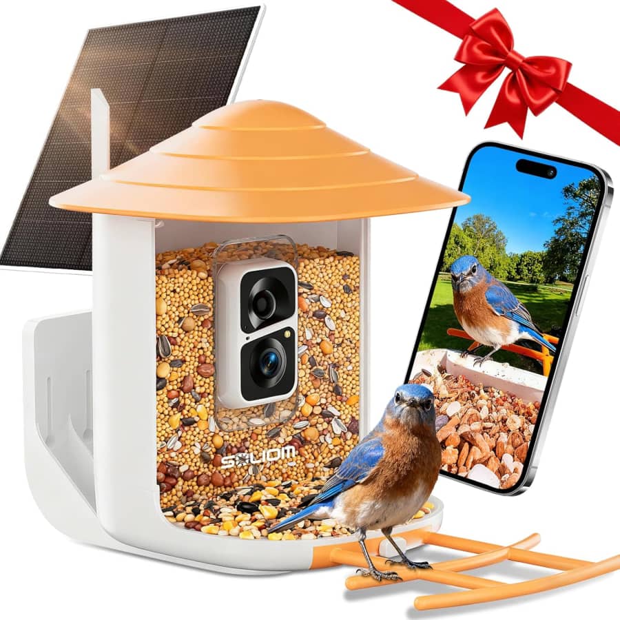 Smart Bird Feeder with Camera: $29