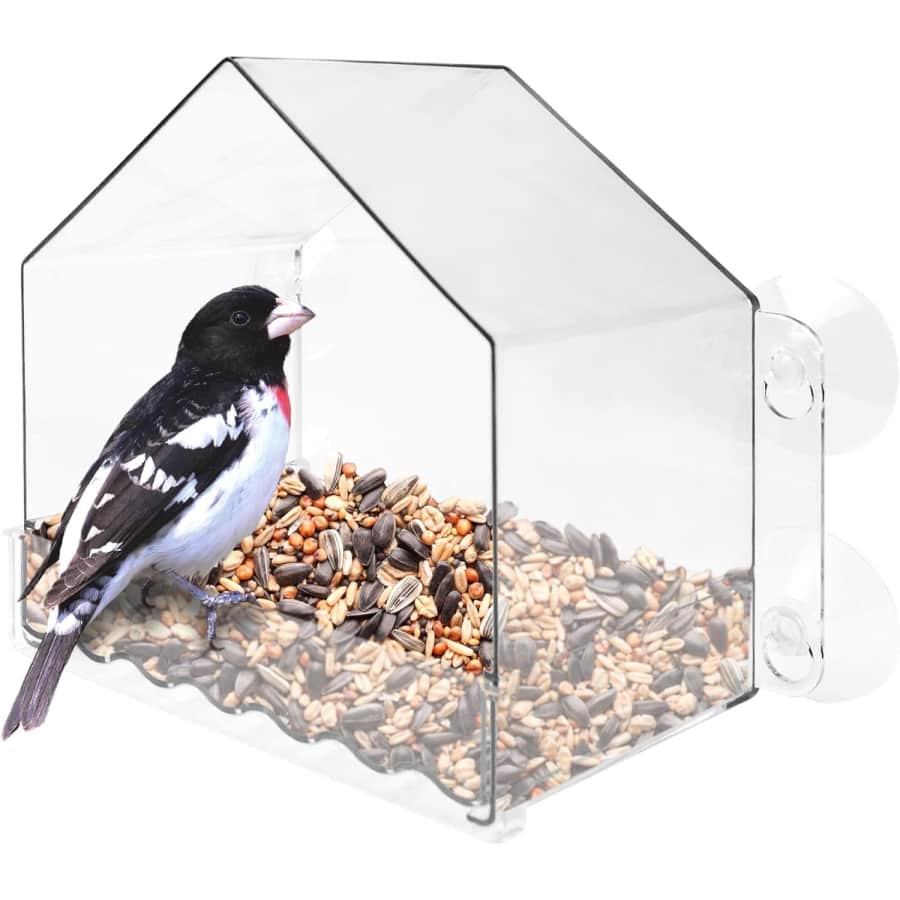 Window Bird Feeder: $6