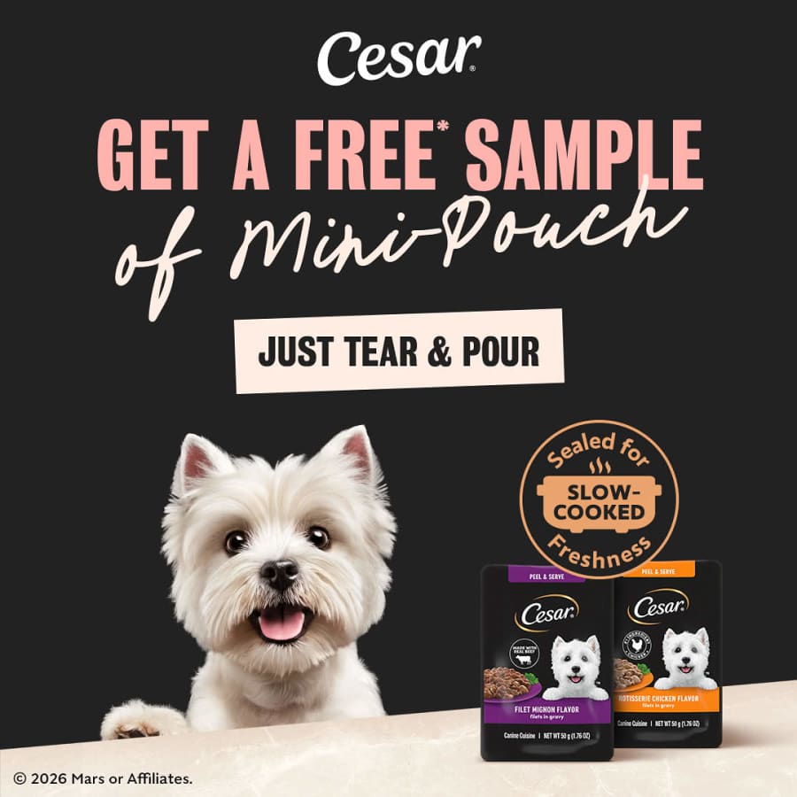 Cesar Dog Food Sample: Free